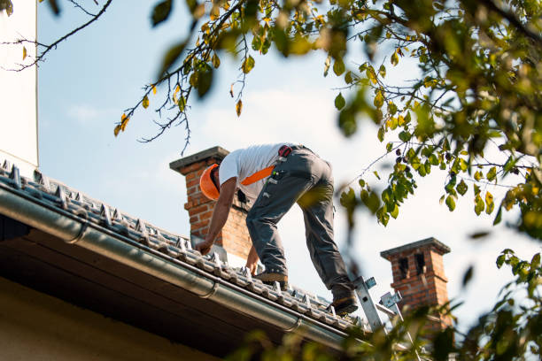 Best Green or Eco-Friendly Roofing Solutions  in Punaluu, HI