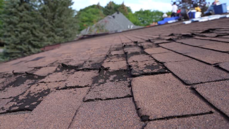 Best Roof Moss and Algae Removal  in Punaluu, HI