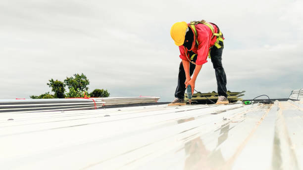 Best Steel Roofing  in Punaluu, HI