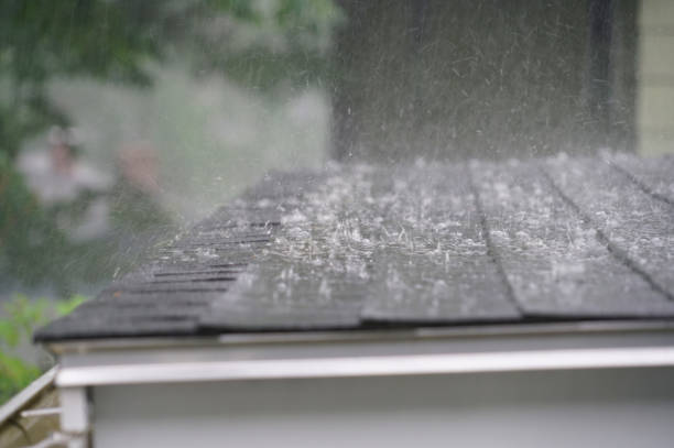 Best Roof Maintenance and Cleaning  in Punaluu, HI